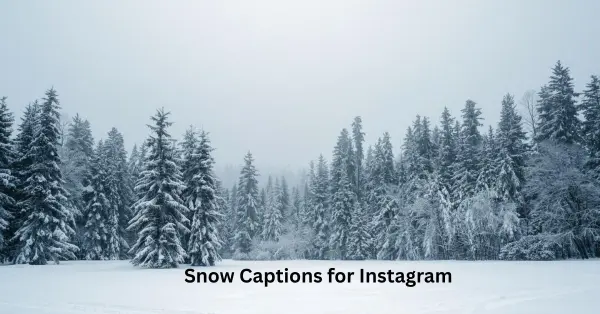 Snow Captions for Instagram